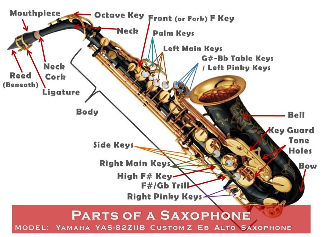 Саксофон на английском. Размеры Альт саксофона. Саксофон 3 клапан. Строение саксофона Альта. Устройство саксофона Альт.