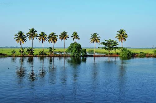 kuttanadu-kerala-by-sree-caedes-desktop-wallpaper.jpg