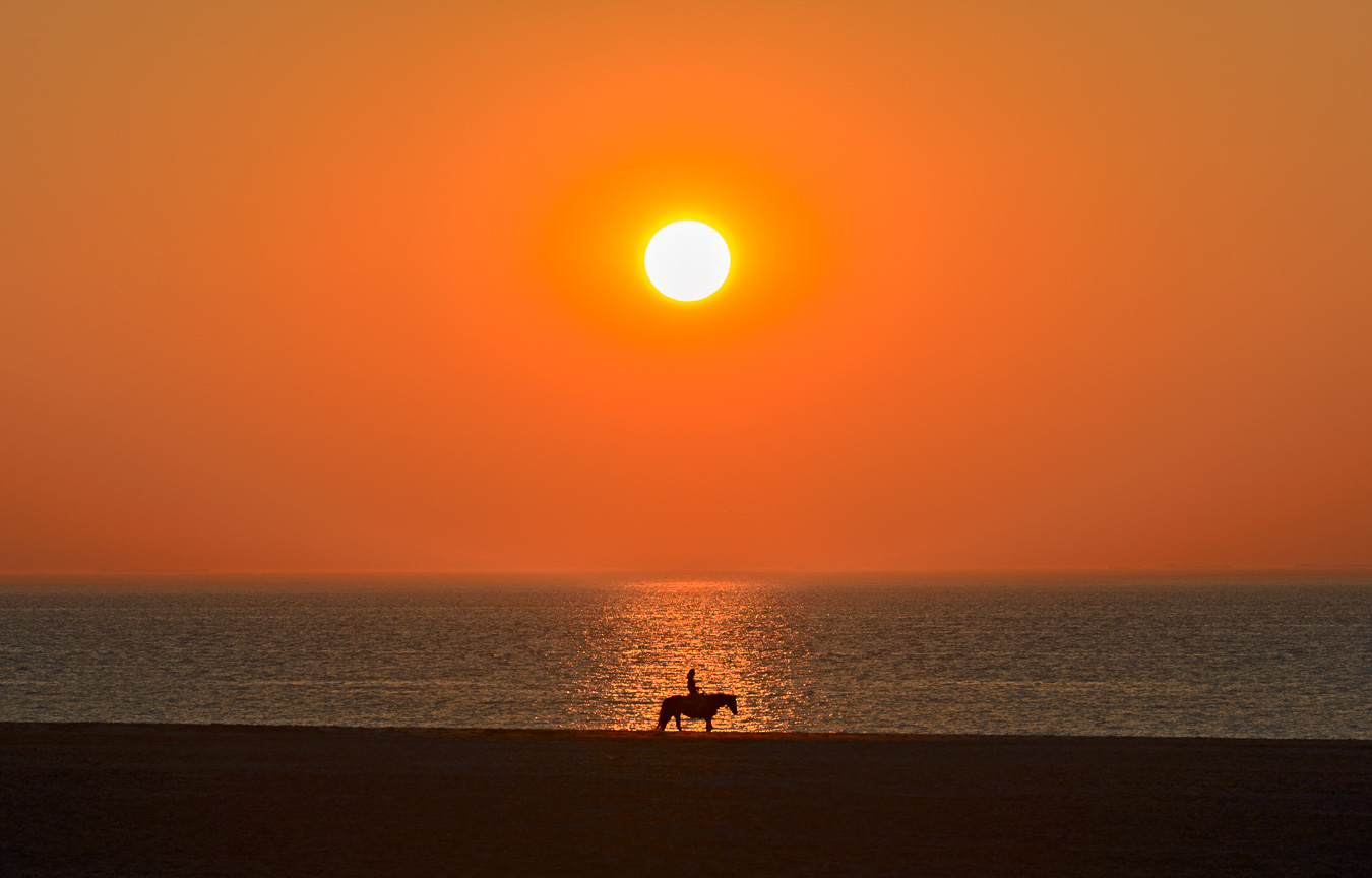 sunset on the beach with rider on a horse