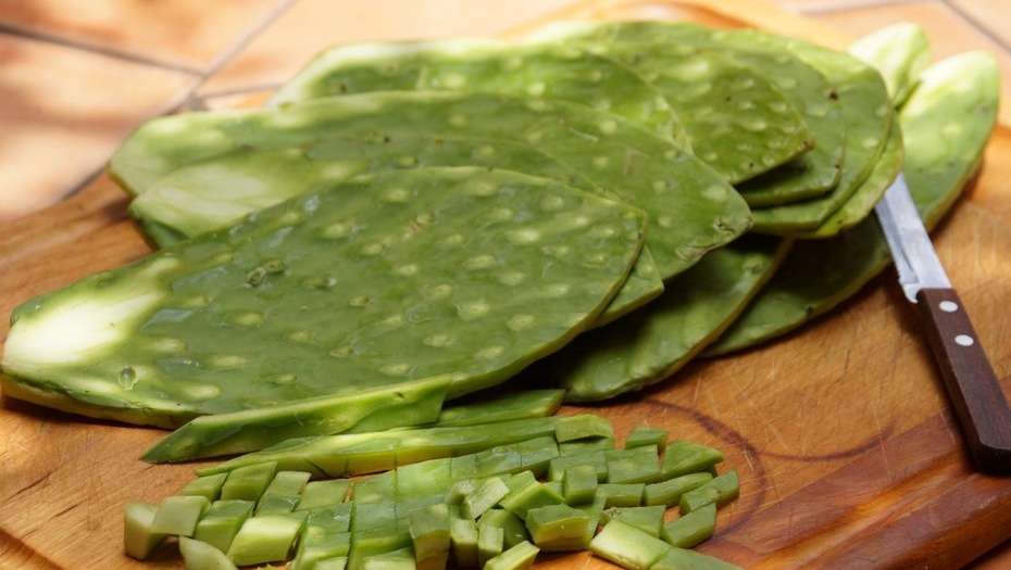 preparando el nopal.jpg