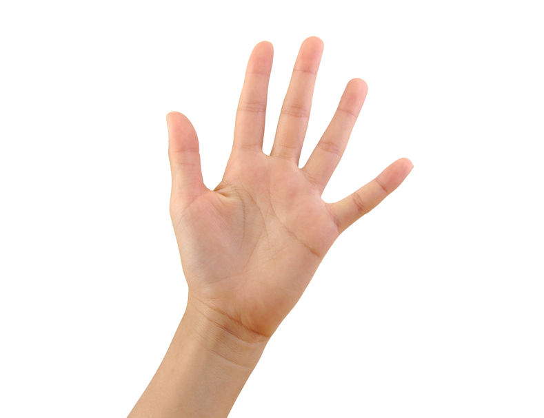 41072584_m.jpg