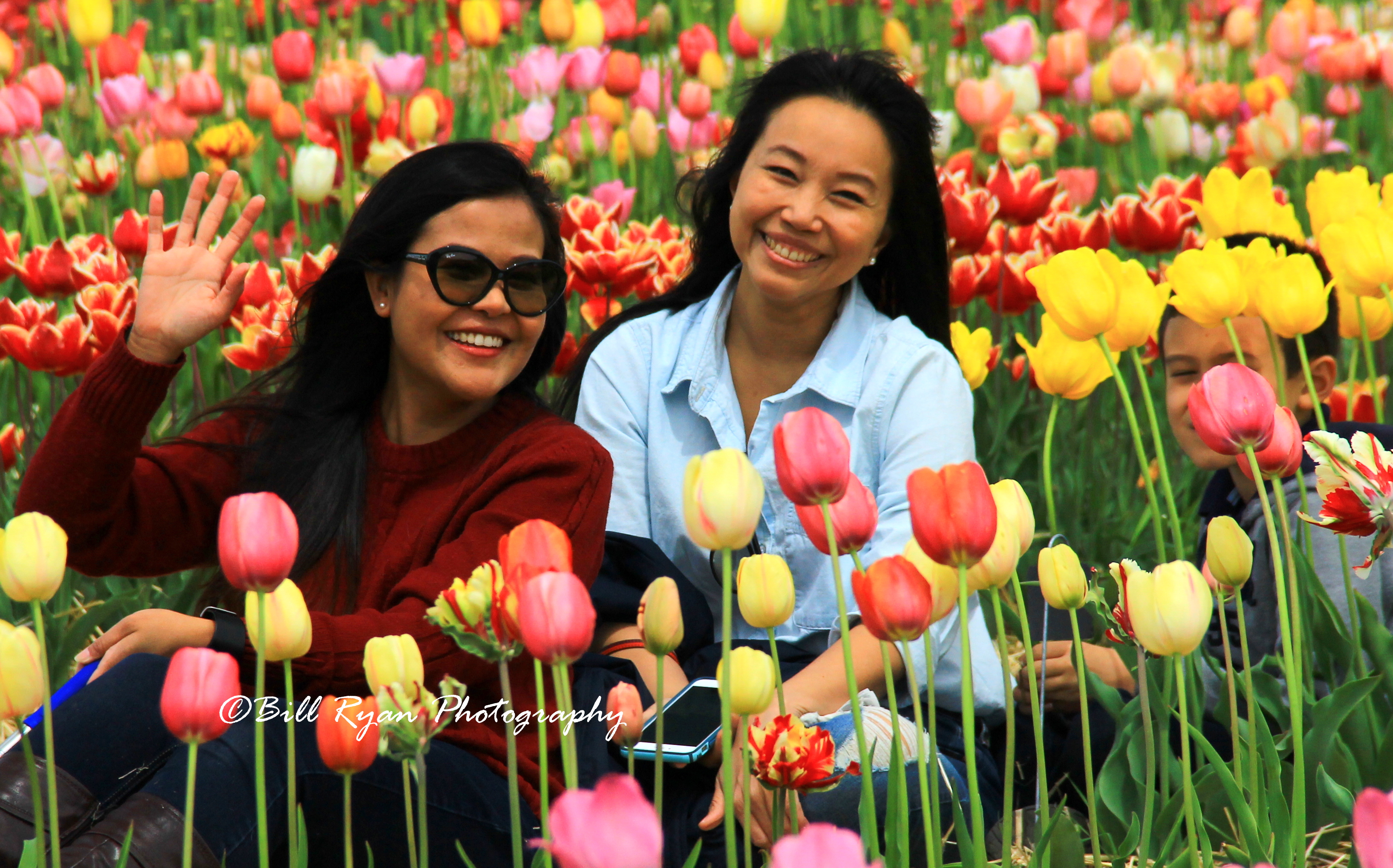 Beauties among the tulips IMG_8640.jpg