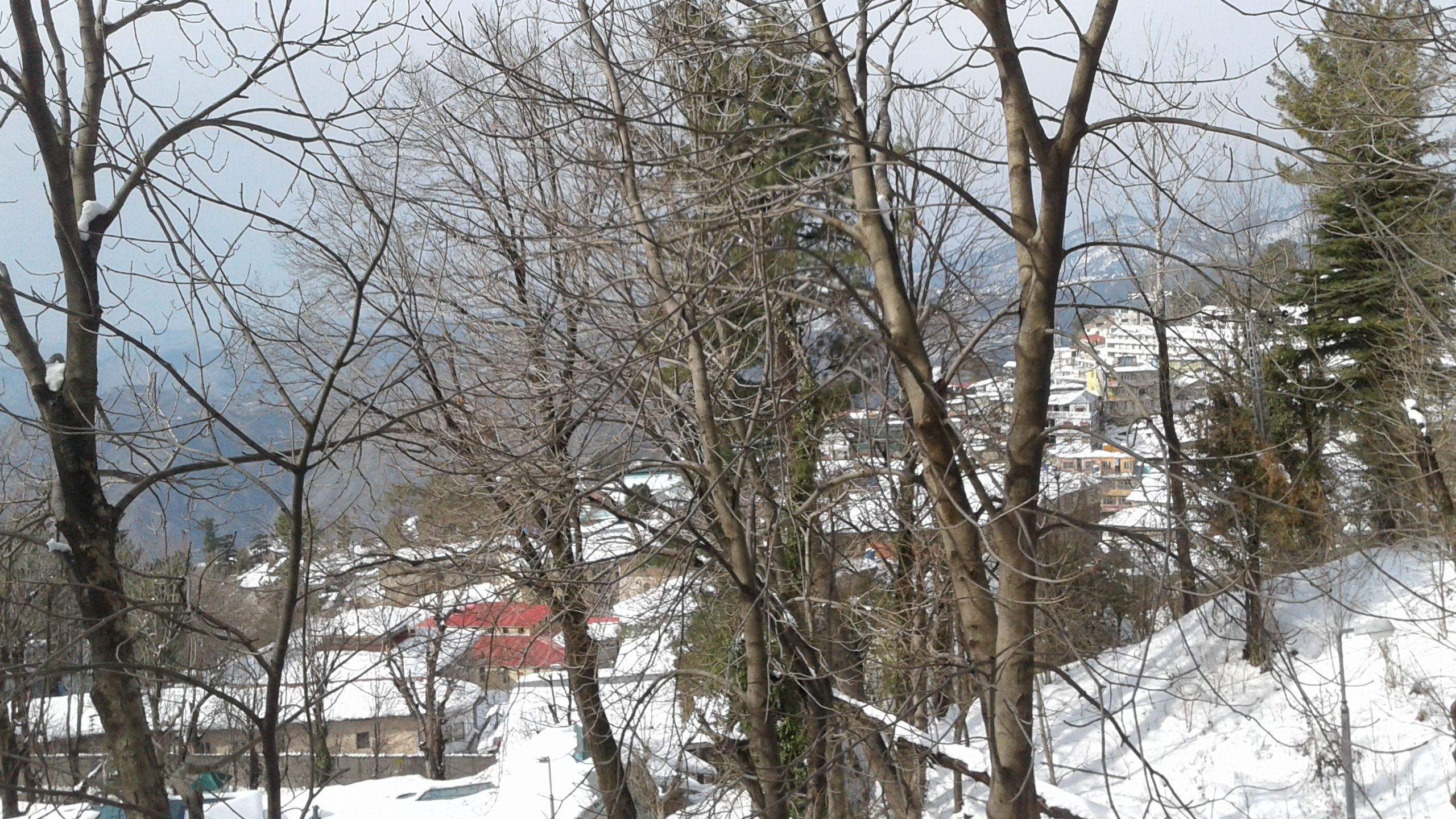 20180214_142126.jpg