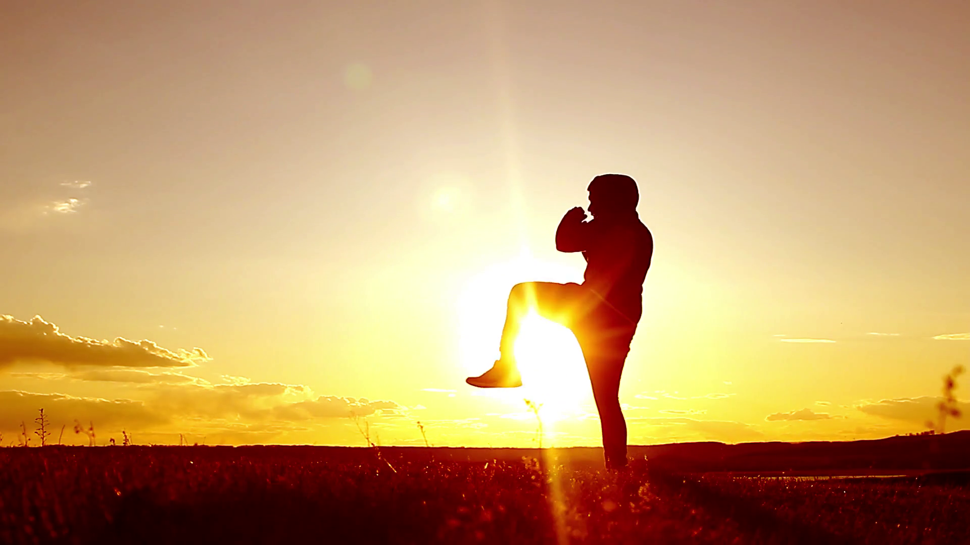 videoblocks-silhouette-of-man-exercising-thai-boxing-silhouette-of-martial-arts-man-training-boxing-on-the-beach-over-beautiful-sunset-background-training-karate-or-boxing-on-grass-field-at-sunset_bofk1w0cl_.png