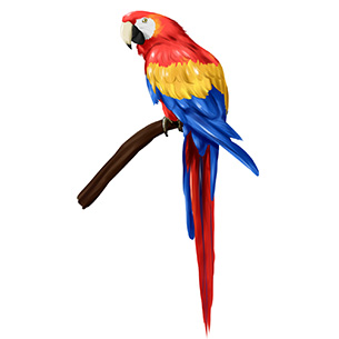 GUACAMAYO BANDERA.jpg