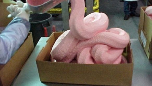 pink-slime_large.jpg