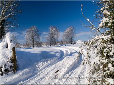 tracks-to-nowhere-thumb.jpg