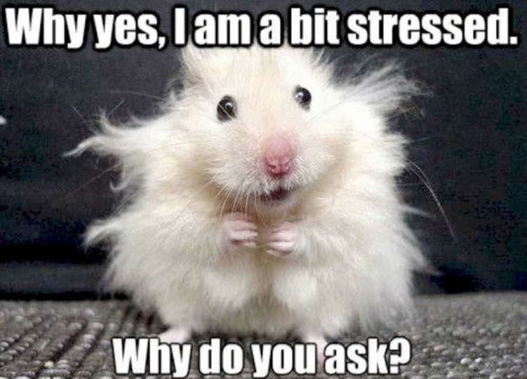 mouse-stressed