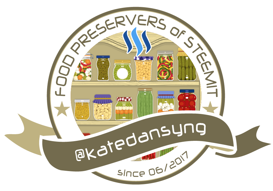 Steemit-FoodPreservers-katedansyng-full.png