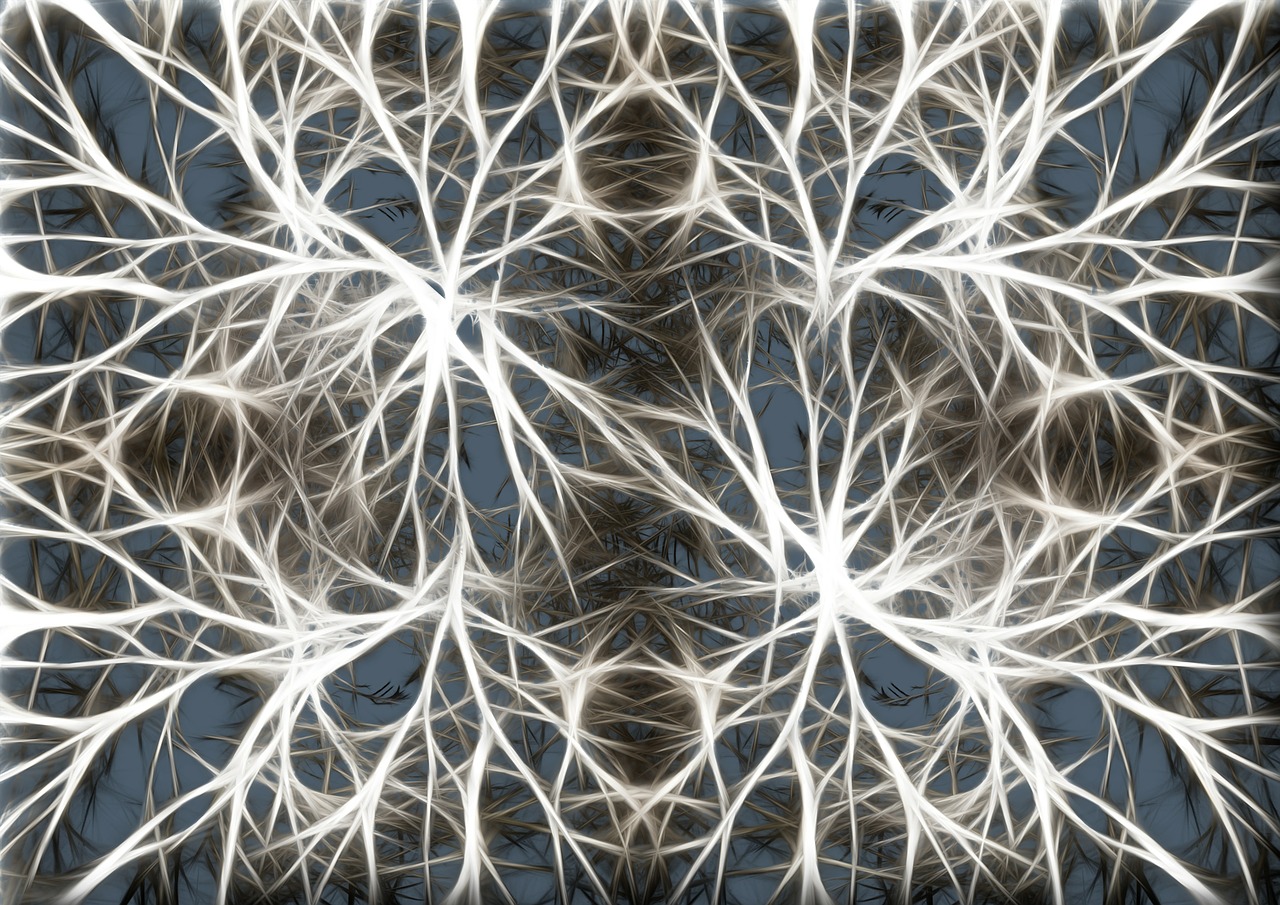 neurons-cover.jpg