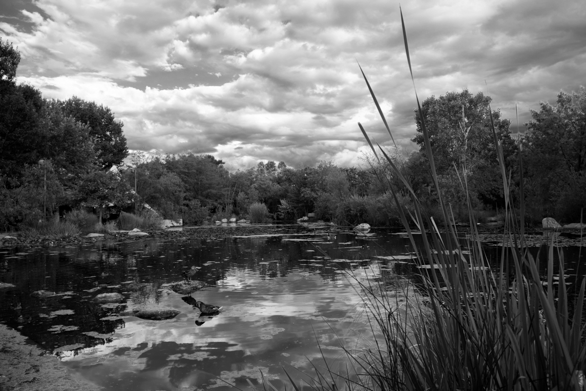 Clouds over Pond.jpg