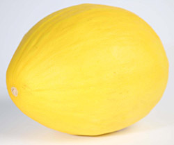 honeydwe melon.jpg