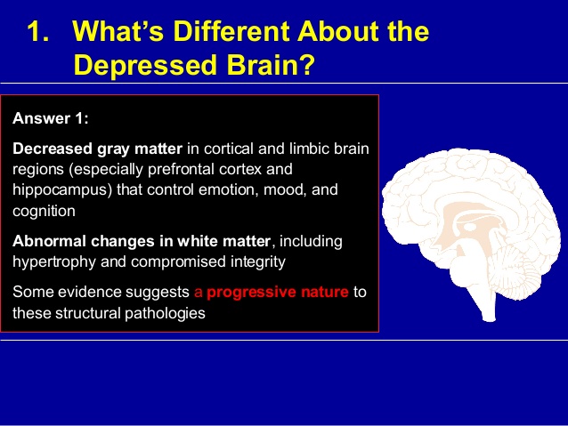 hanipsych-updates-on-neurobiology-and-neurotoxicity-of-depression-21-638.jpg