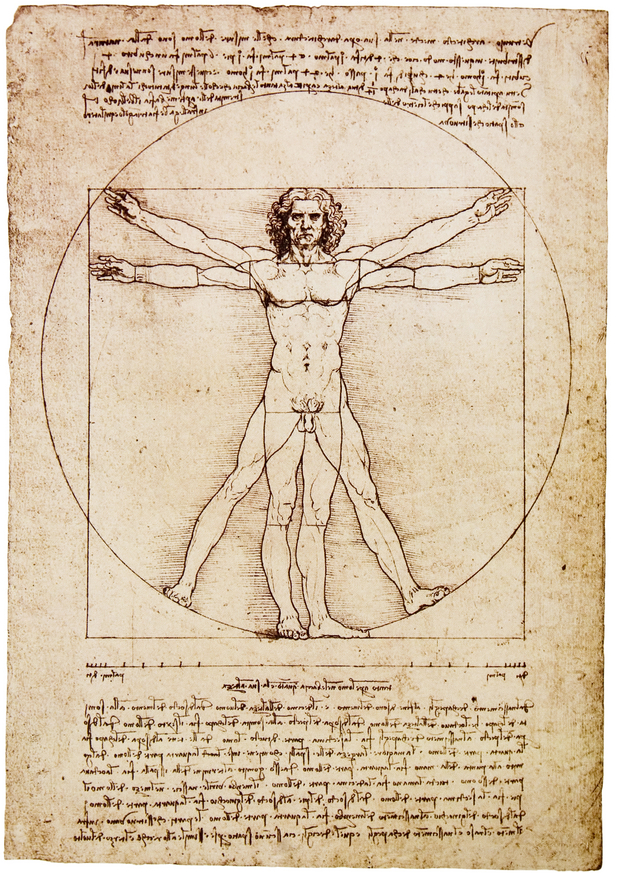 fibonacci devinchi.jpg