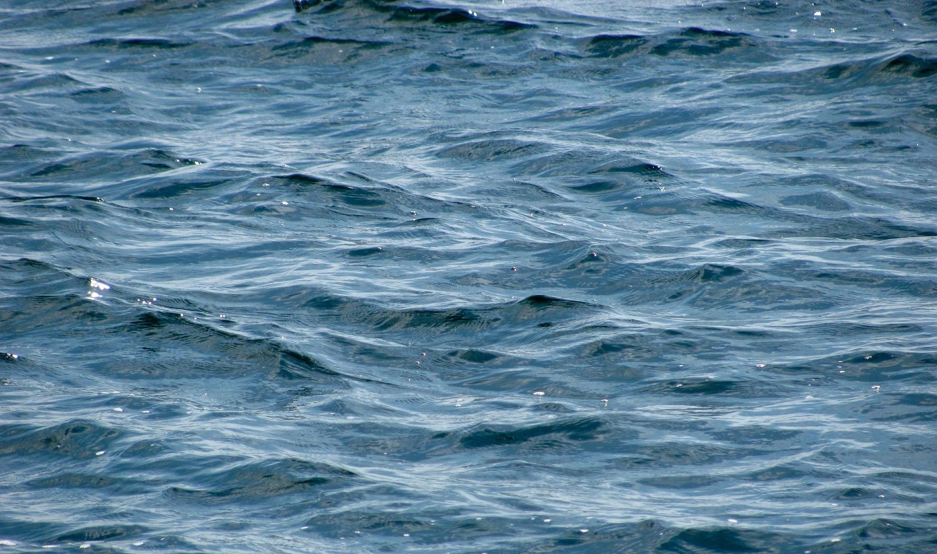 ocean-440523_1920.jpg