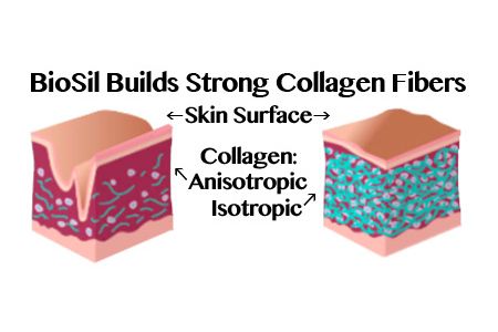 1492122099-biosil-collagen-skin.jpg