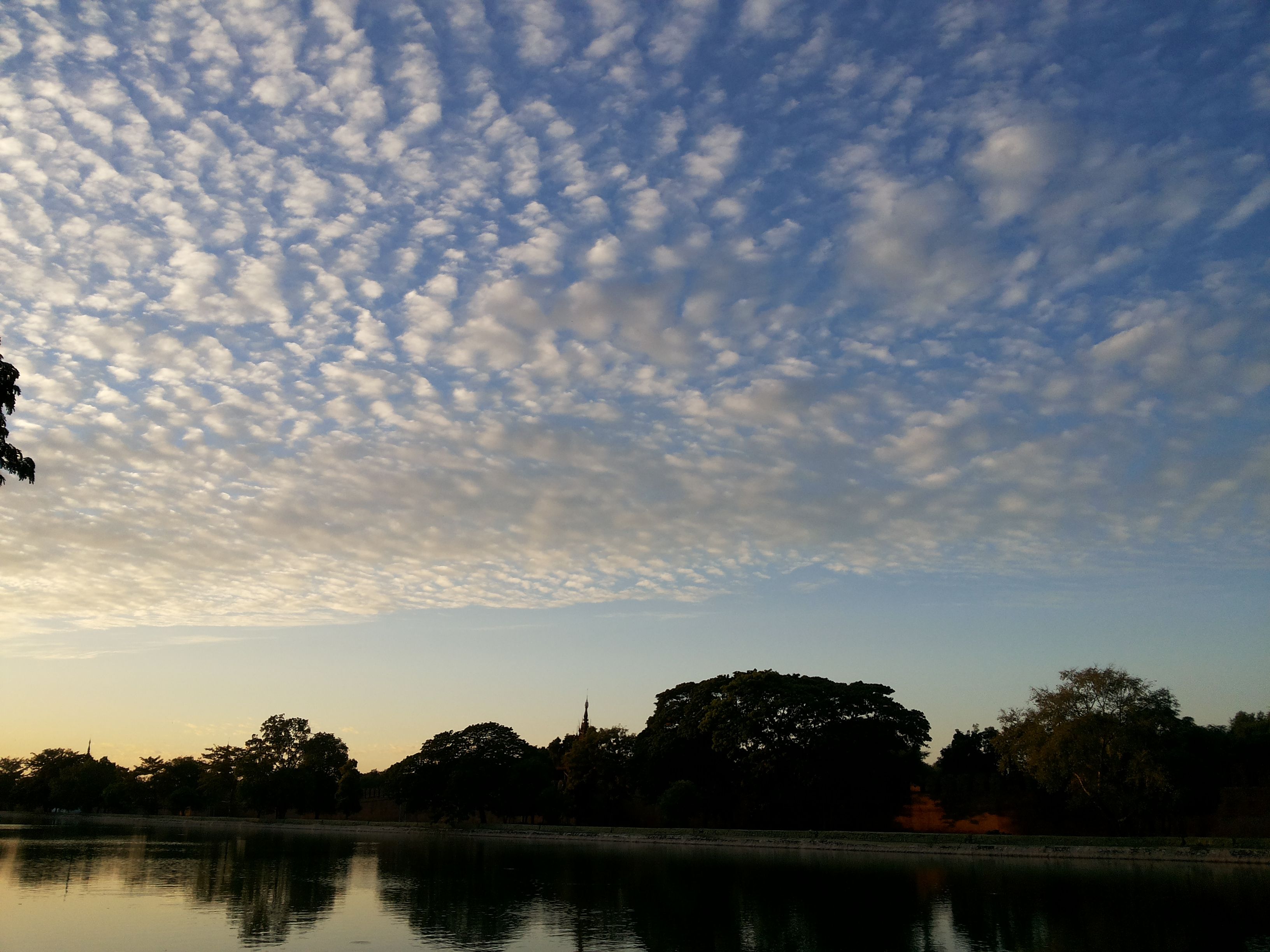 20171112_170910.jpg