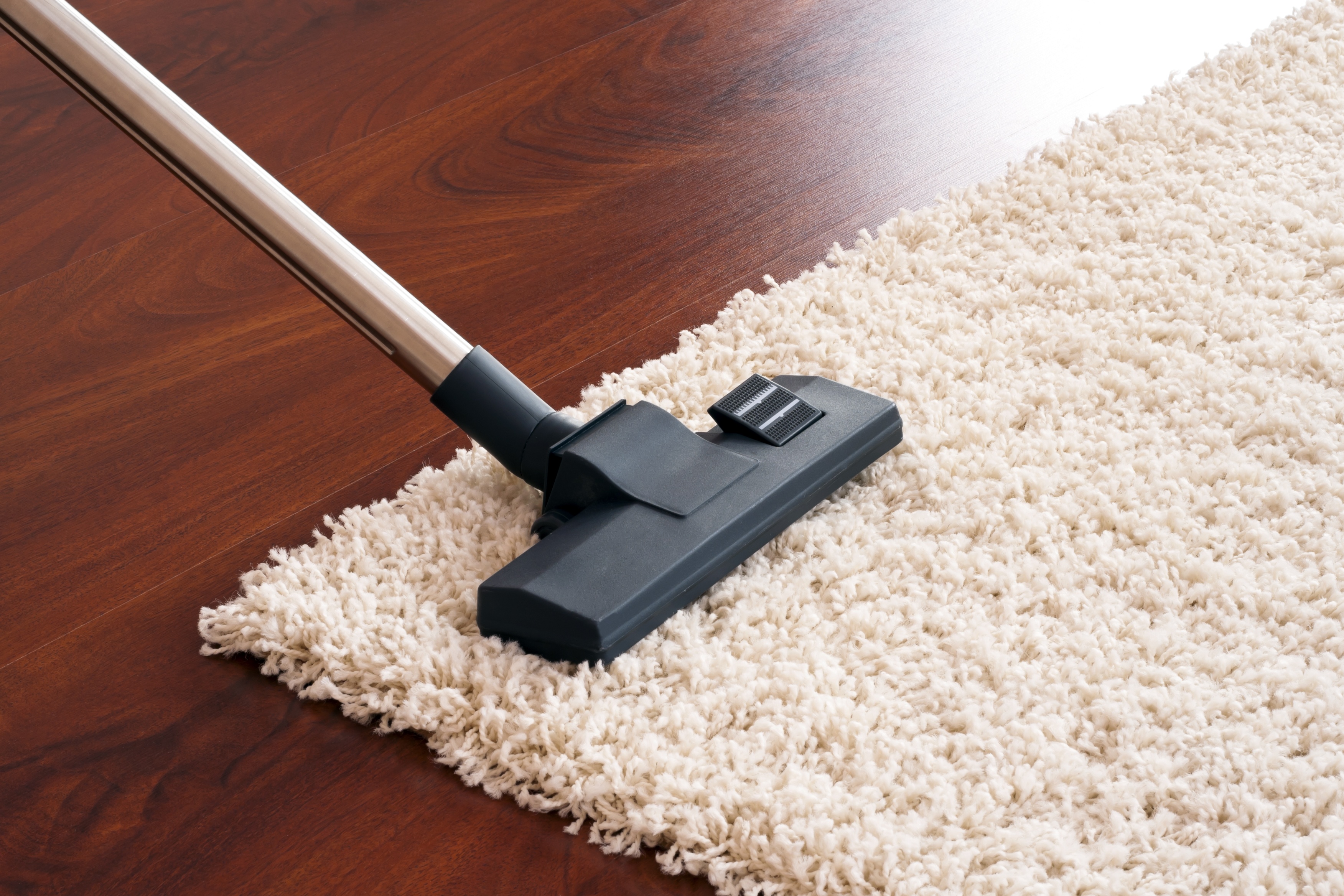 Lake Forest Carpet Cleaning