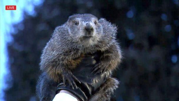 groundhog-day10-ht-mem-180202_16x9_608.jpg