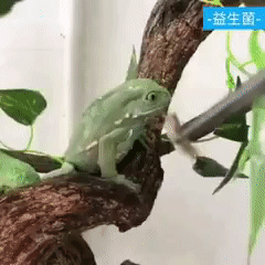 ezgif-1-563911b59c.gif