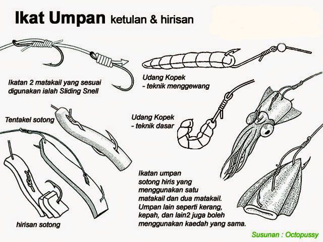 memasang umpan cumi.jpg