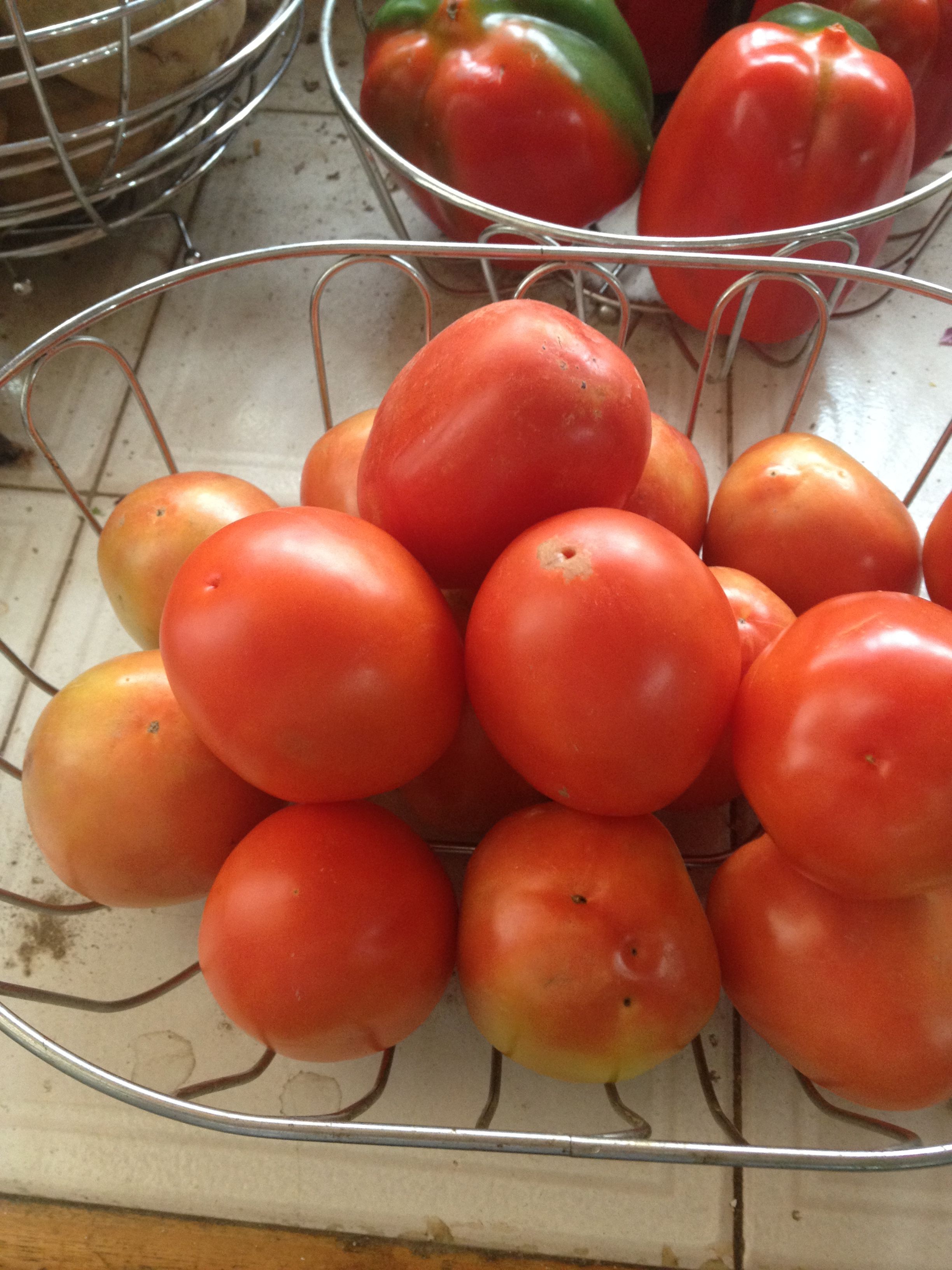 tomates.jpg