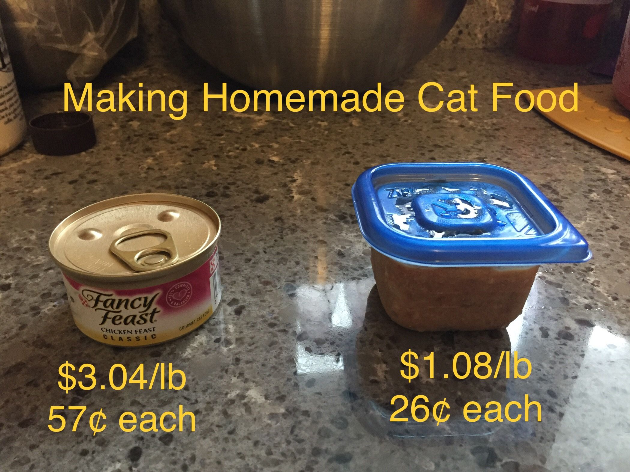 easy homemade wet cat food