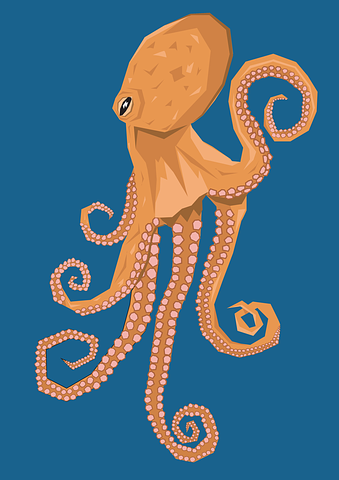 octopus-2373177__480.png