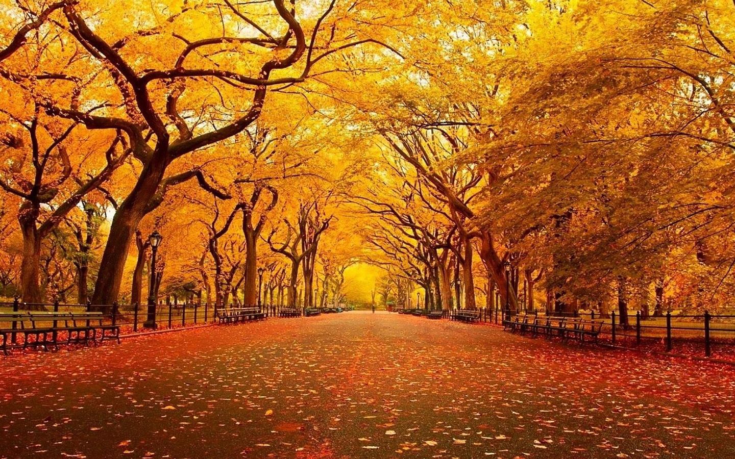 《飞鸟与夏花》每天一首自译飞鸟集（20） - Translate a poem form Stray Birds to Chinese every day