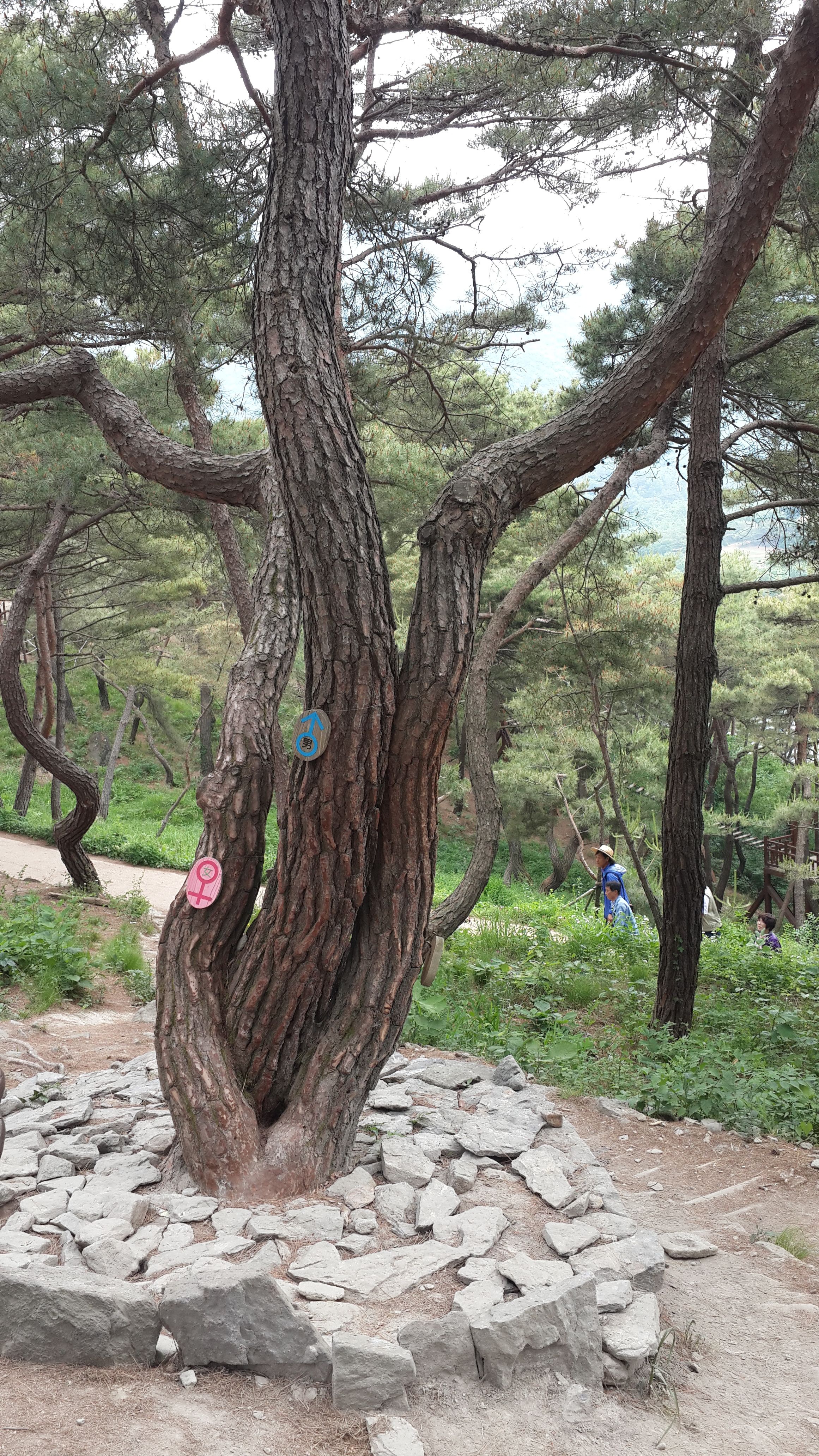 20140525_142739.jpg