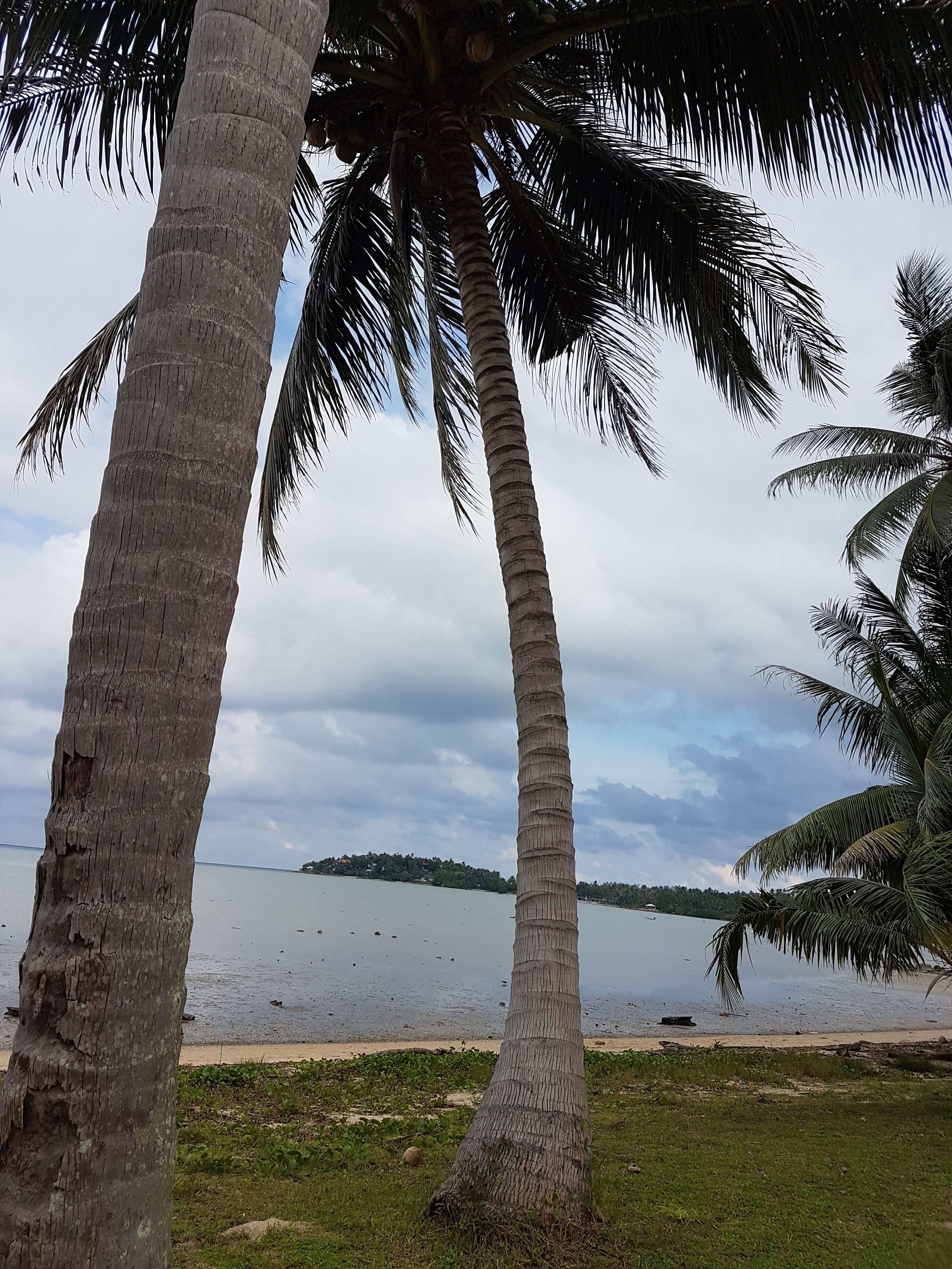 20170910_085639.jpg