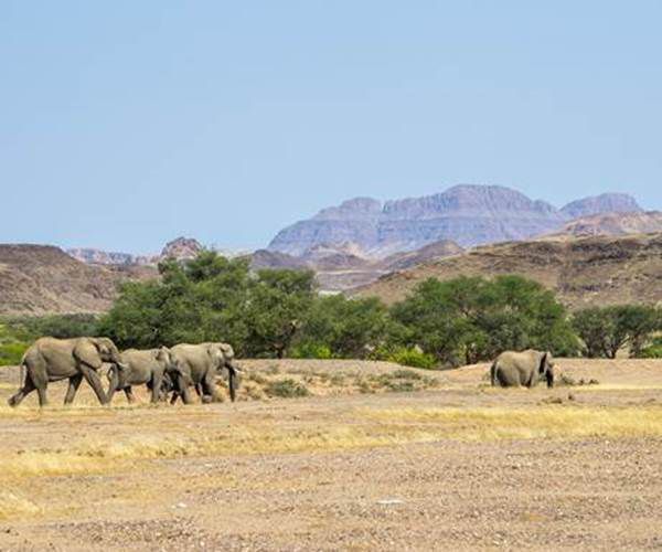 Namibia.jpg.optimal.jpg