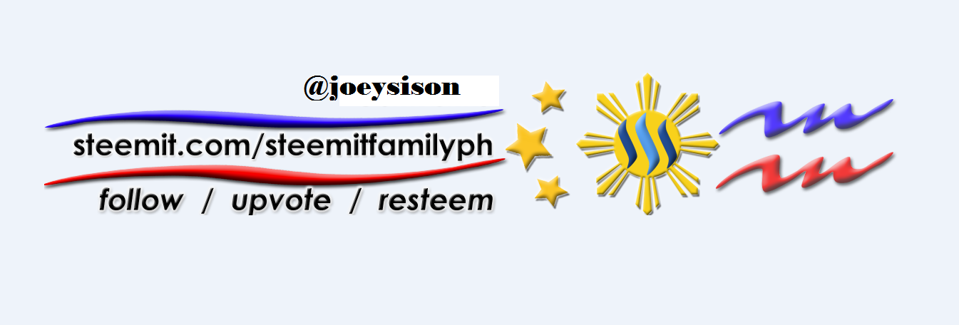 Joeysison.png