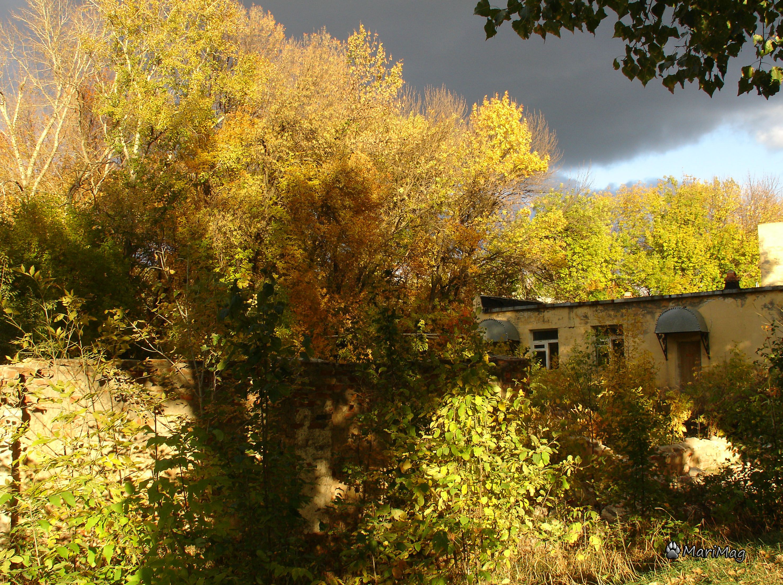 DSC00007.JPG
