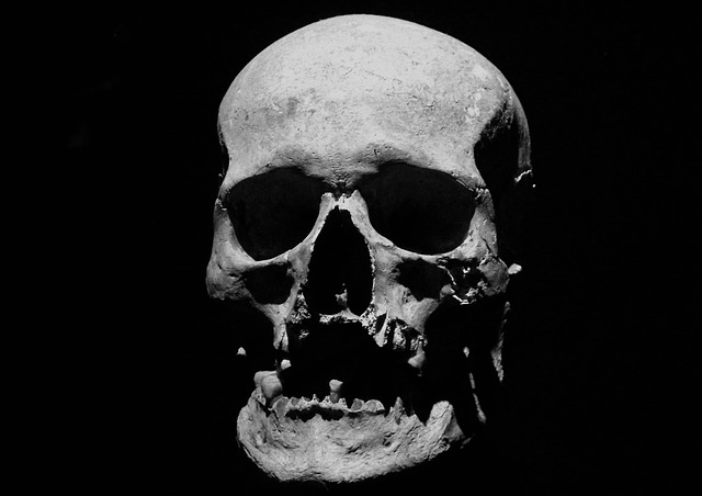 skull-2955012_640.jpg