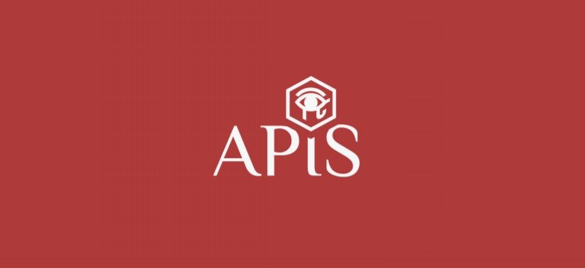 [암호화폐 이야기] 마스터노드 중개 플랫폼을 구축하고 싶은 APIS - 2