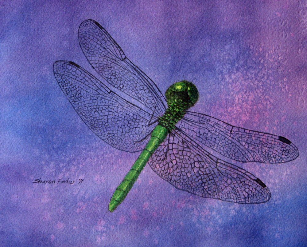 dragonflypurple10001.jpg