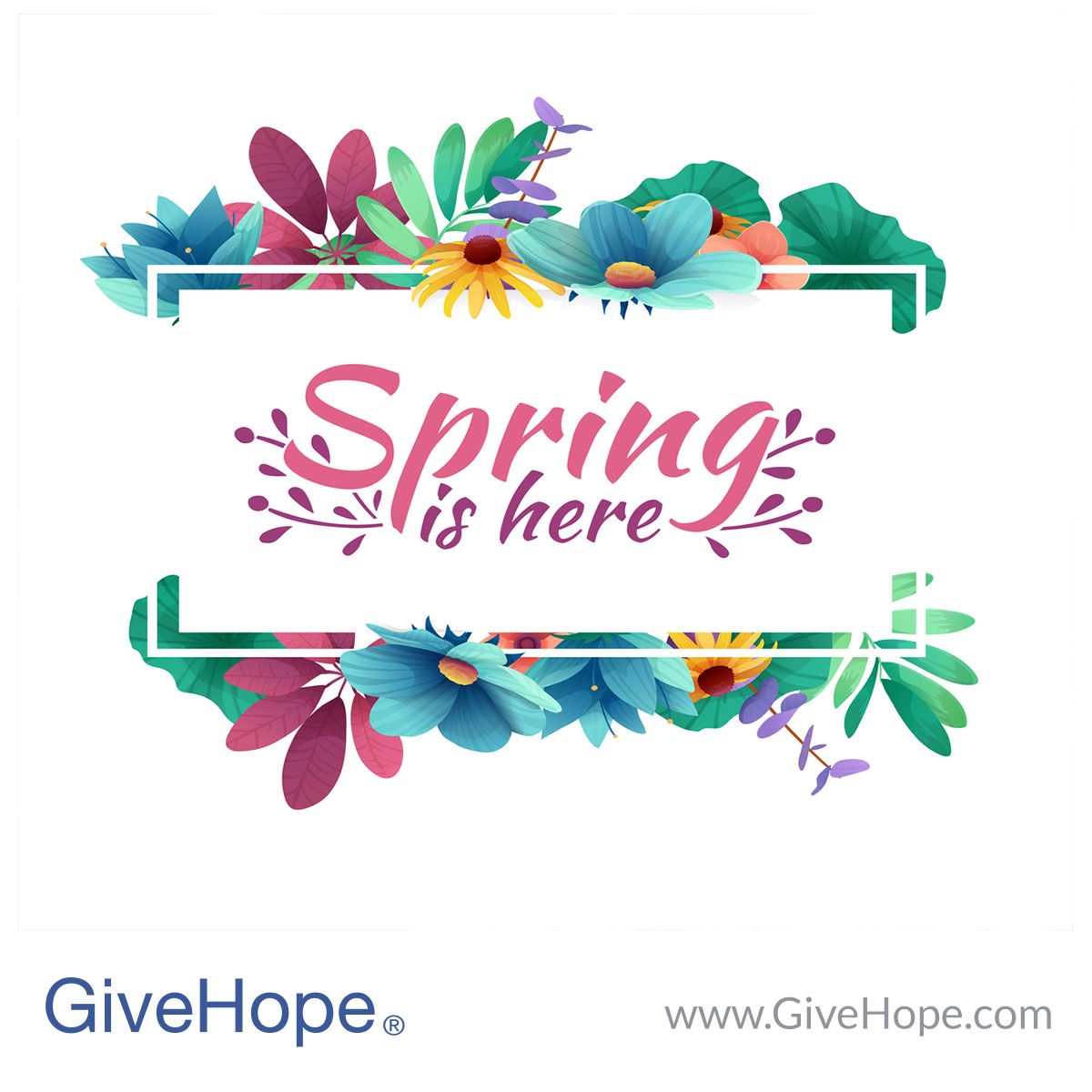 springishere.jpg