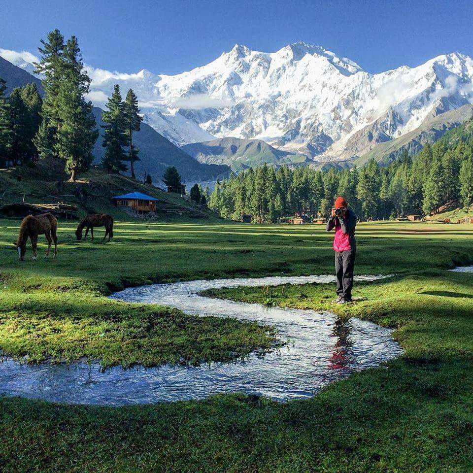 312Fairy Meadows.jpg