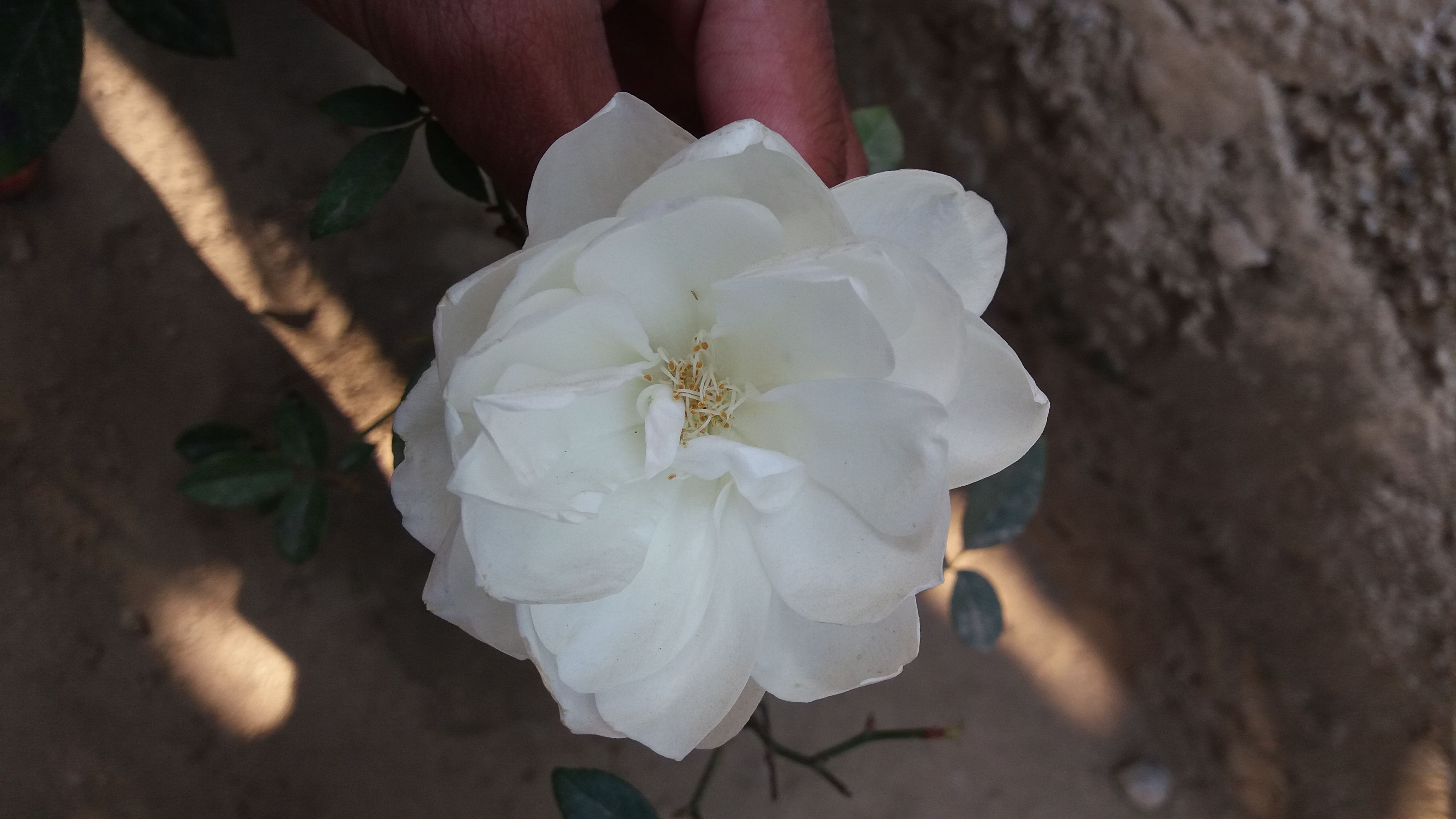 20180124_102131.jpg