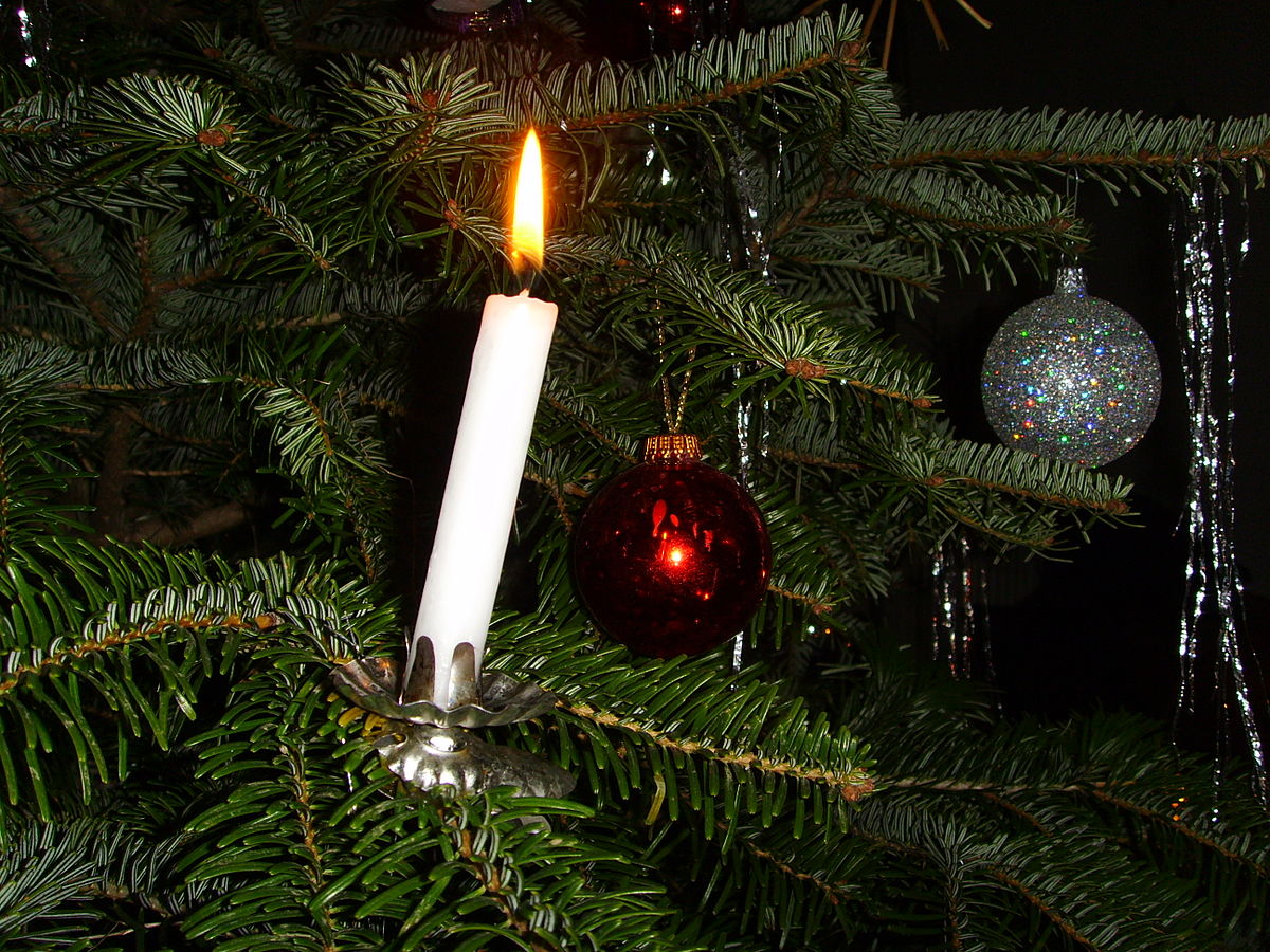 Candle_on_Christmas_tree.jpg