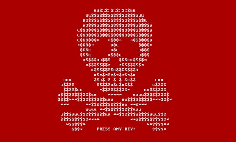 petya.jpg