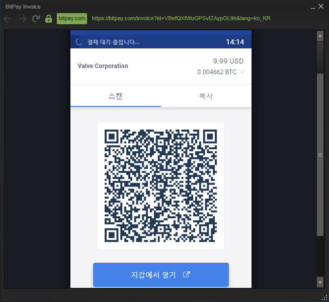BitPay.PNG