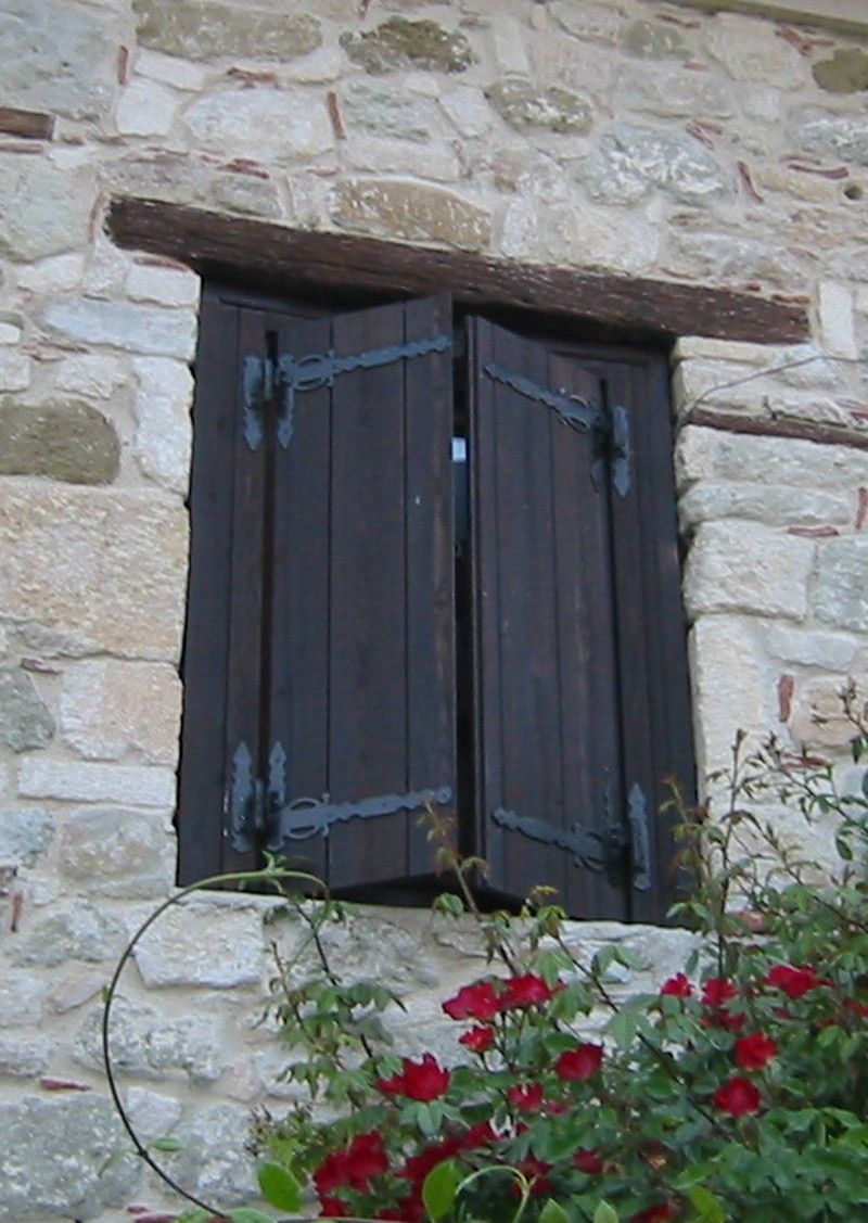 parauyro.JPG