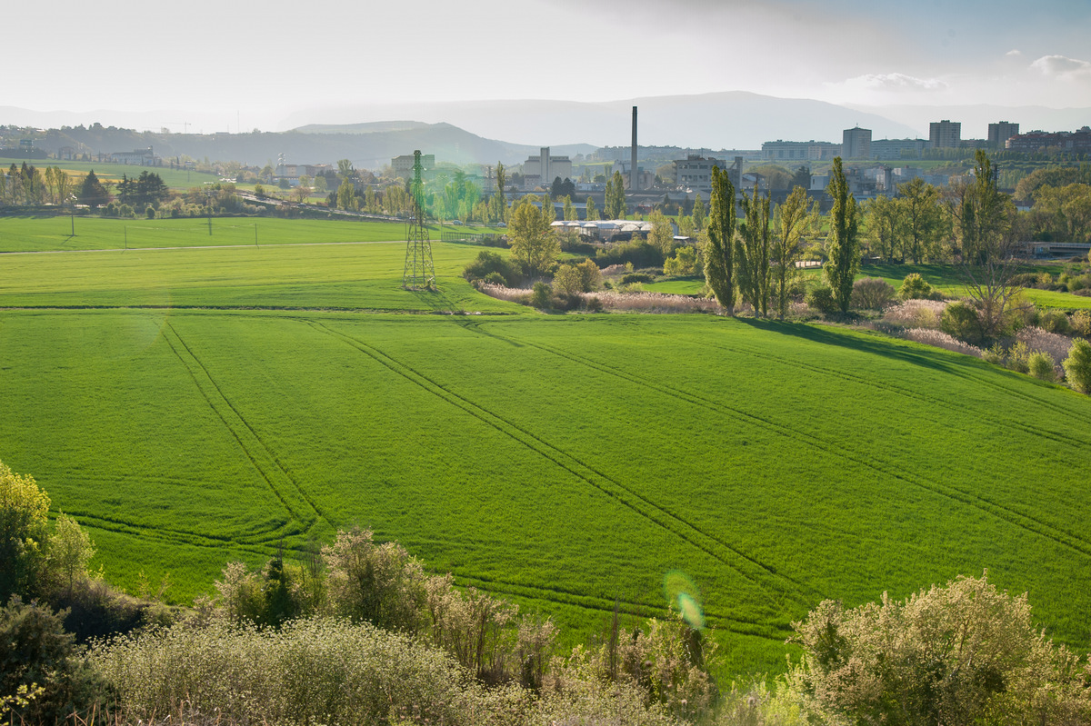 DSC_3987.jpg