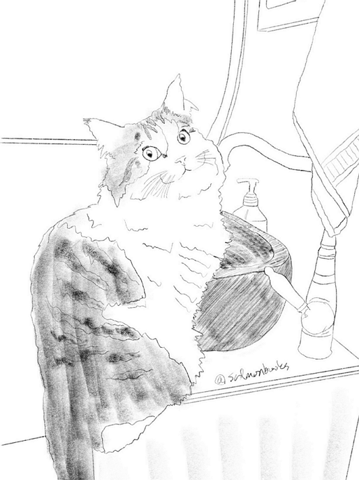 A cat on the sink_small.png