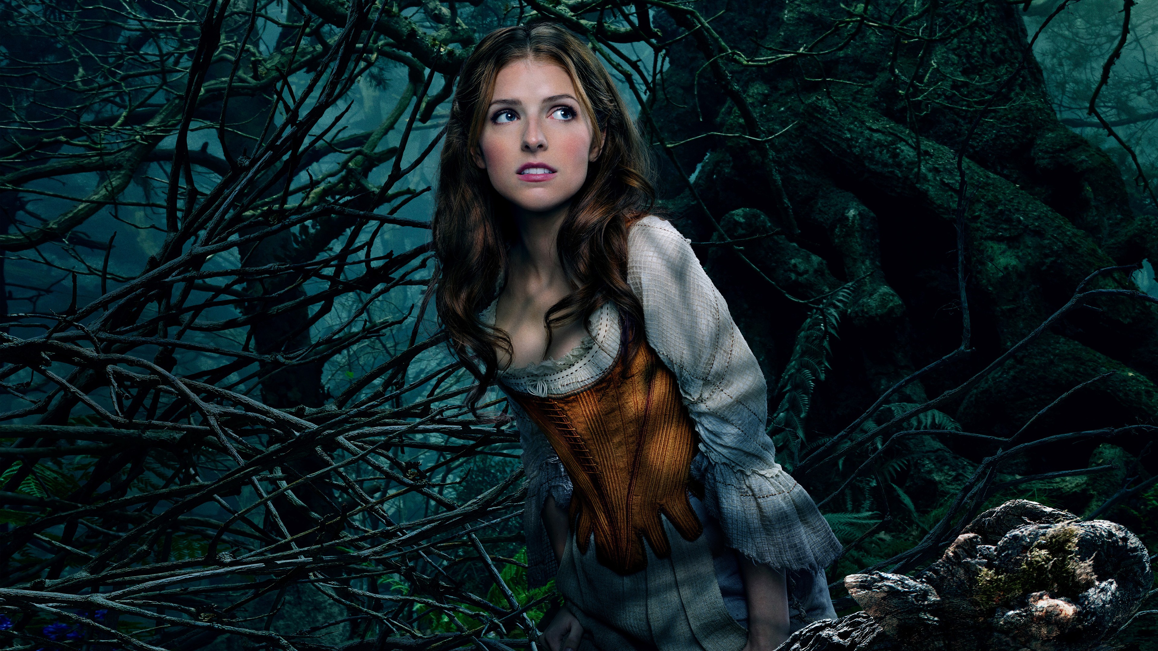 anna_kendrick_as_cinderella-3840x2160.jpg