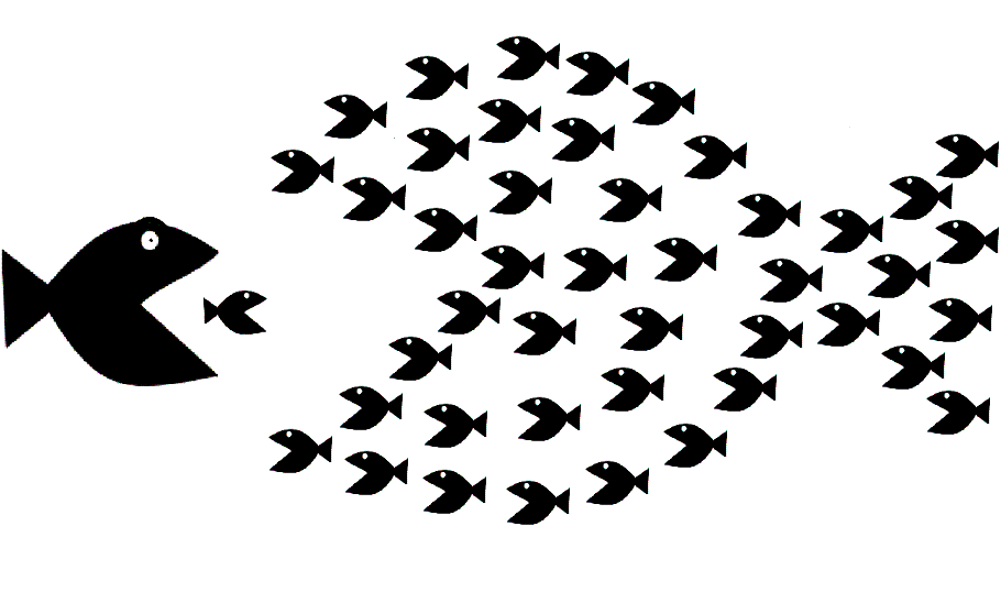 bigfishlittlefish.gif
