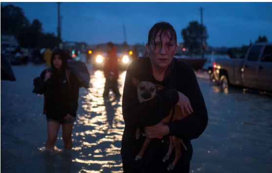 harvey pic - woman with dog.JPG