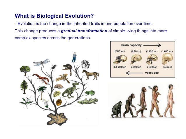 unit5-biological-evolution-17-638.jpg